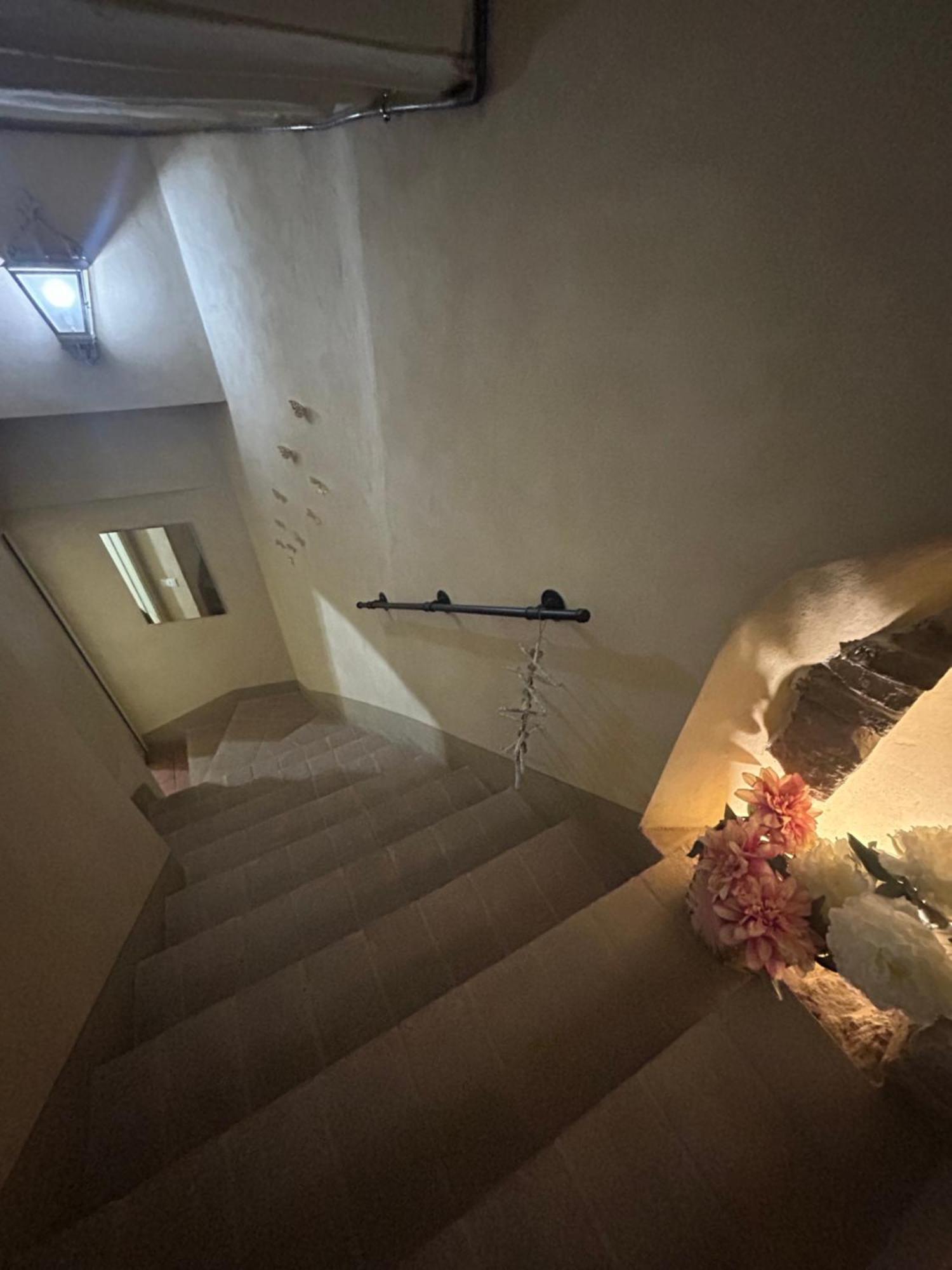 Il Giardino Segreto B&B 渥尔特拉 外观 照片