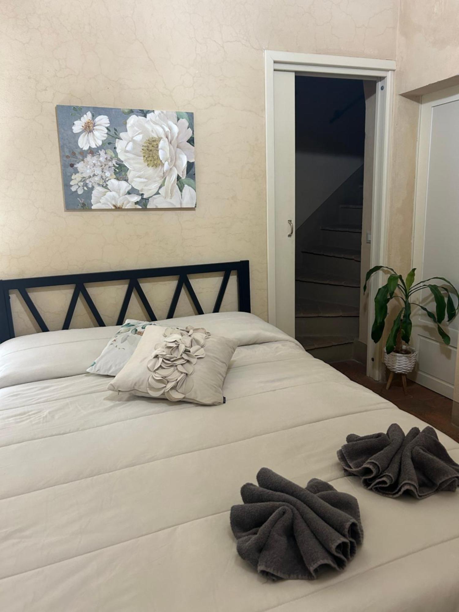 Il Giardino Segreto B&B 渥尔特拉 外观 照片